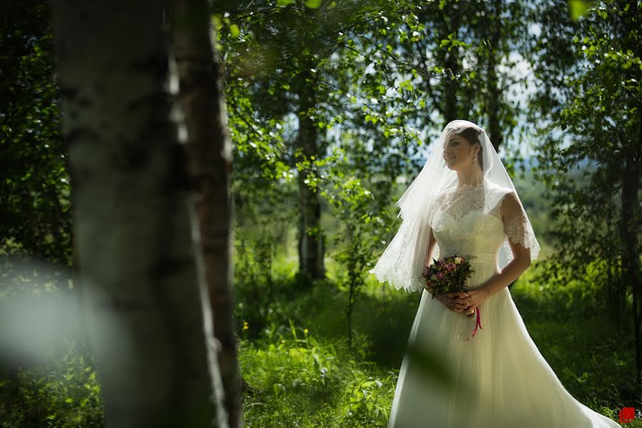 婚礼摄影师Mikhail Denisov（mohax）。2014 7月5日的照片