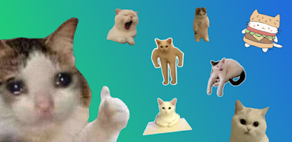 Cat Memes Stickers WASticker - Apps on Google Play