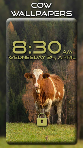 Screenshot Cow Wallpapers