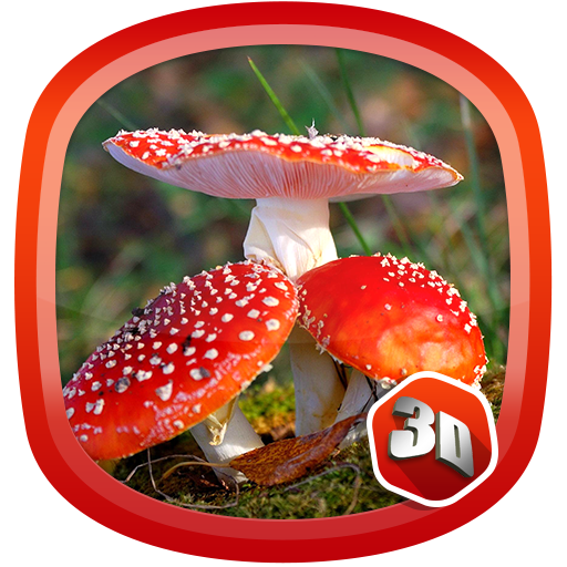 3D Mushroom Garden LWP 個人化 App LOGO-APP開箱王