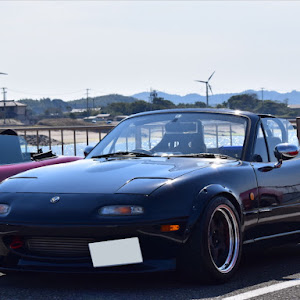 ロードスター NA8C