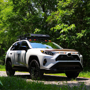 RAV4 MXAA54