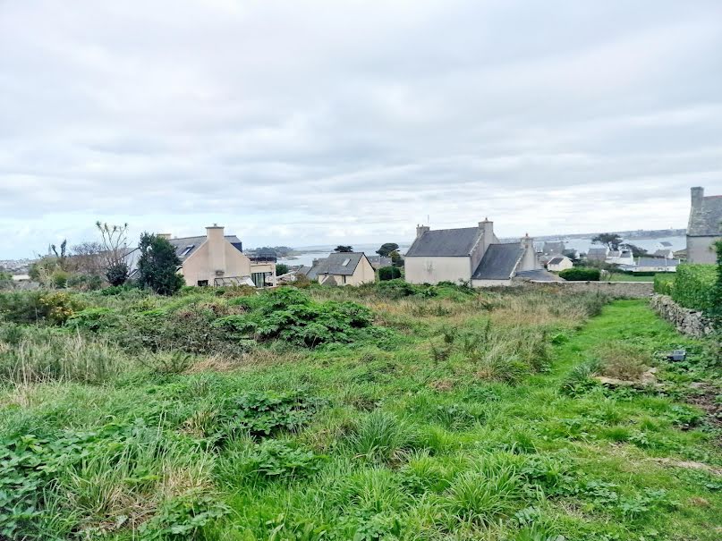 Vente terrain  1054 m² à Ile-de-Batz (29253), 282 000 €