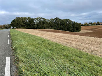 terrain à Maintenon (28)