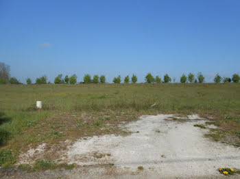 terrain à La Selle-sur-le-Bied (45)