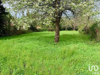 terrain à Rioux (17)