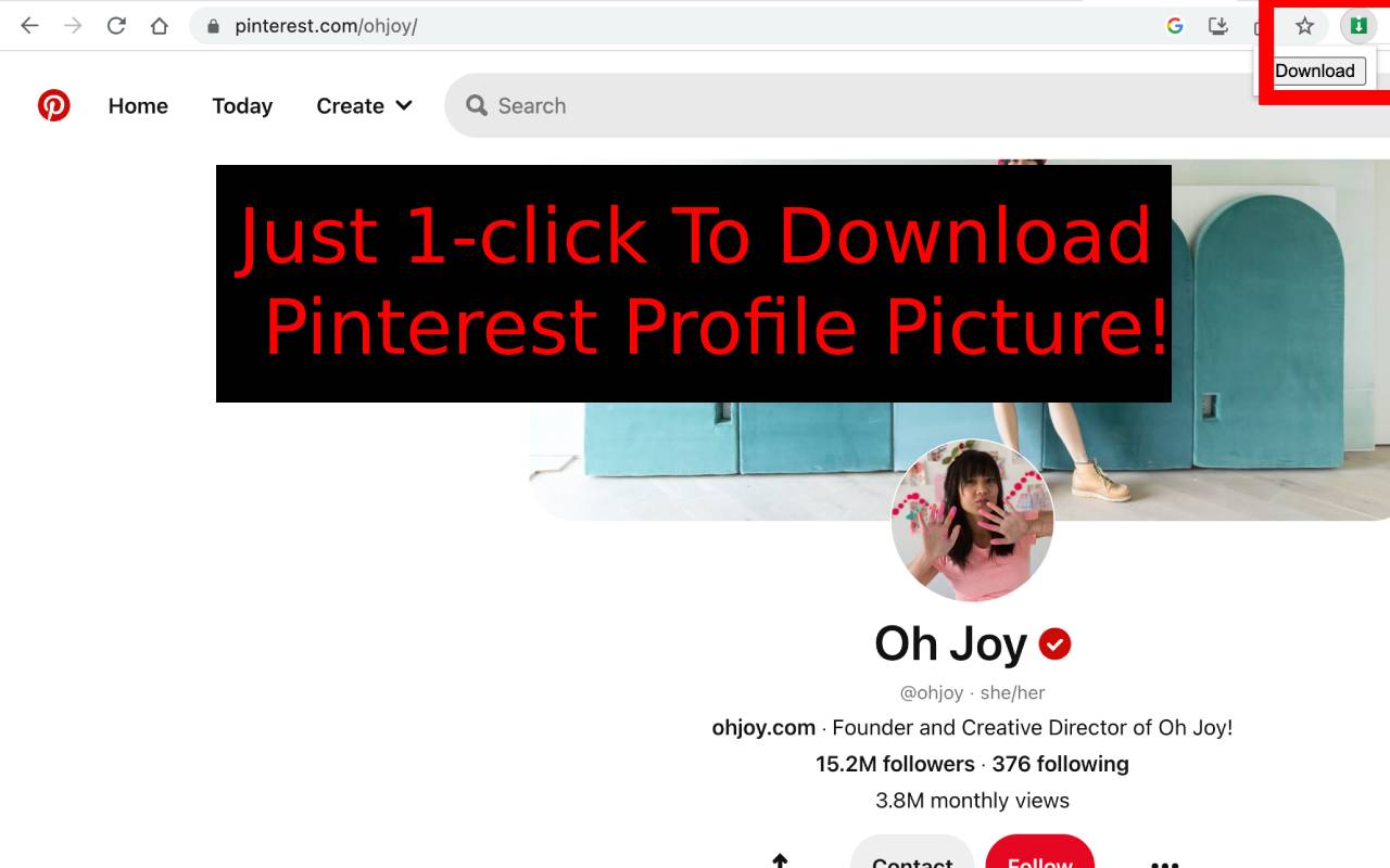 Pinterest™ Profile Picture Downloader Preview image 0