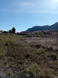 terrain à Saint-Paul-de-Fenouillet (66)