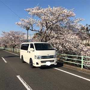 レジアスエースバン