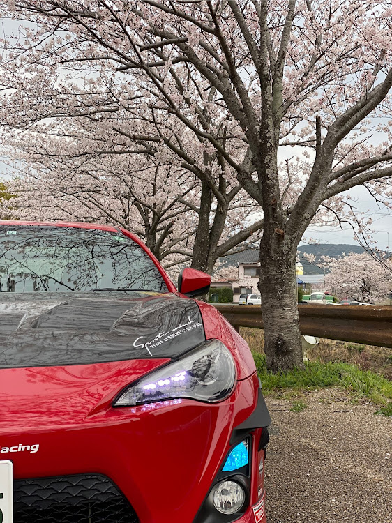 86のいつもイイネ&コメントありがとうございます🙇‍♂️・桜とコラボ・ガソリン車、マニュアル車応援・お友達募集中・いつもと変わらず写真下手に関するカスタム事例の投稿画像5枚目