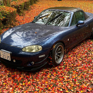 ロードスター NB6C