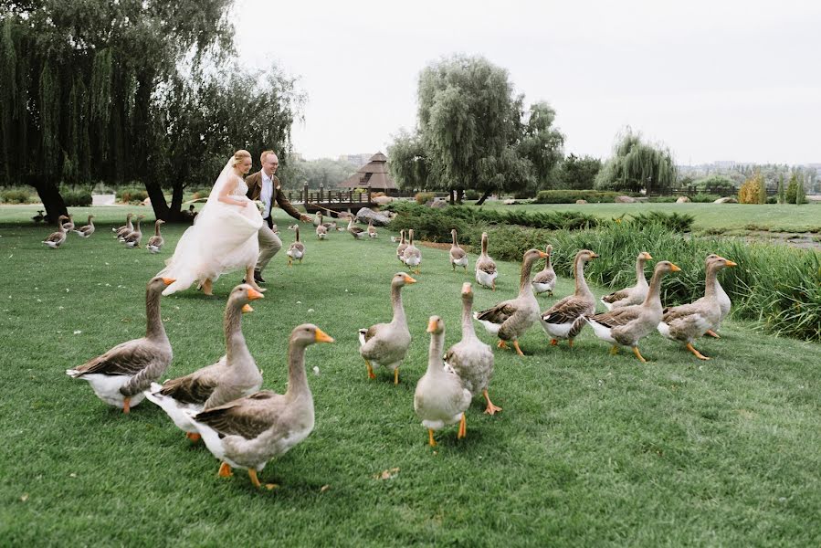 Bryllupsfotograf Valentina Ryzhikova (vasilisared22). Bilde av 13 oktober 2019