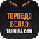 Торпедо-БелАЗ+ Tribuna.com icon