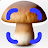 Mushroom Identification icon