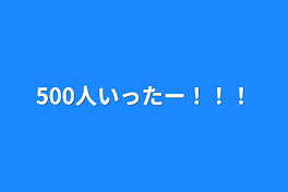 500人いったー！！！