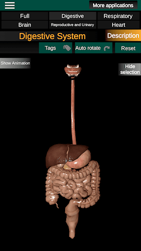 Internal Organs in 3D Anatomy screenshot #3