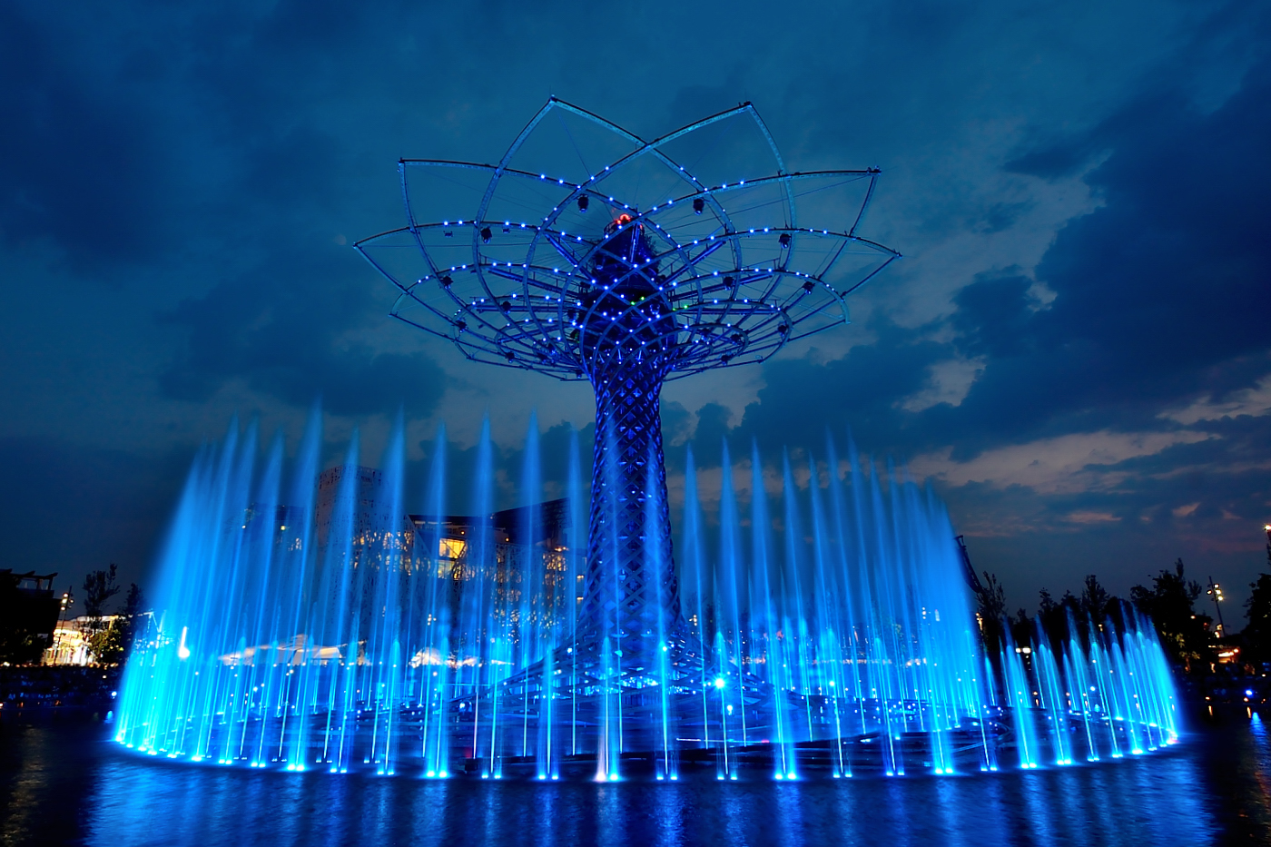 L'albero più fotografato d'Italia di gigibe