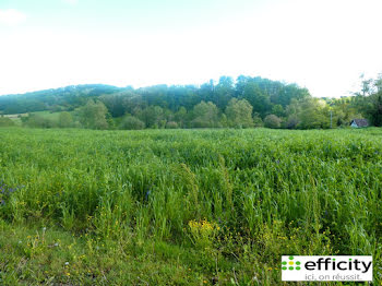 terrain à Salies-de-bearn (64)