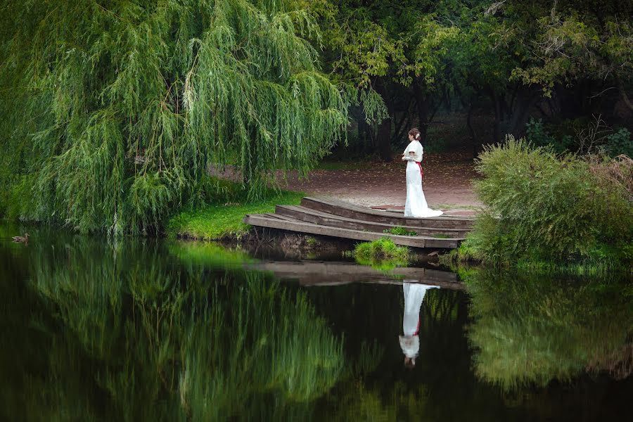 Fotografo di matrimoni Katerina Dogonina (dogonina). Foto del 23 novembre 2015