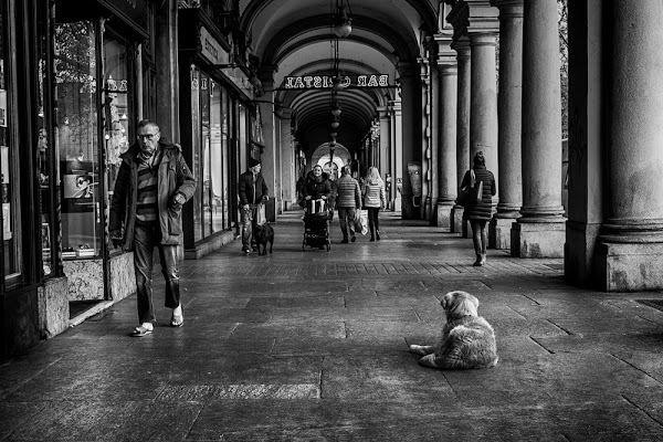 Che stanchezza... di Tiziana Detoni