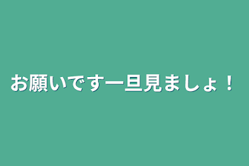 お願いです一旦見ましょ！