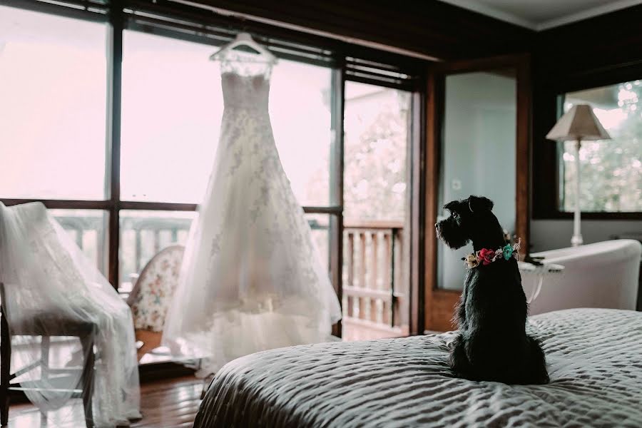 Photographe de mariage Pablo Alonso (pabloalonso). Photo du 23 mai 2019