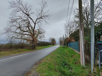 maison neuve à Beauzelle (31)