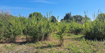 terrain à Camaret-sur-Aigues (84)