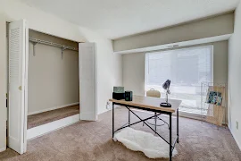 Bedroom or office with carpeted flooring and a closet with double sliding doors and a large window