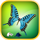 Download Butterfly Forest For PC Windows and Mac 1.1