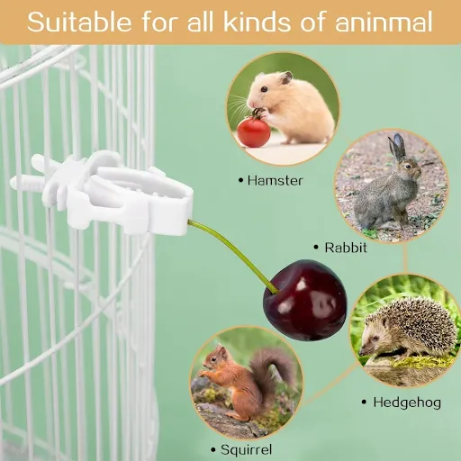 12pcs Birds Food Holder Pet Parrot Feeding Fruit Vegtable Clip Cuttlefish Bone Feeder Device Pin Clamp Bird Cage Accesso