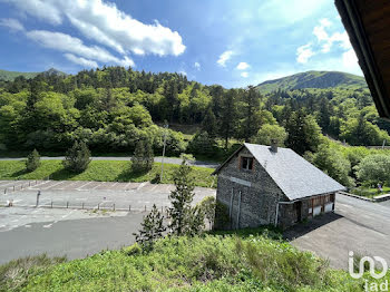 appartement à Le mont dore (63)