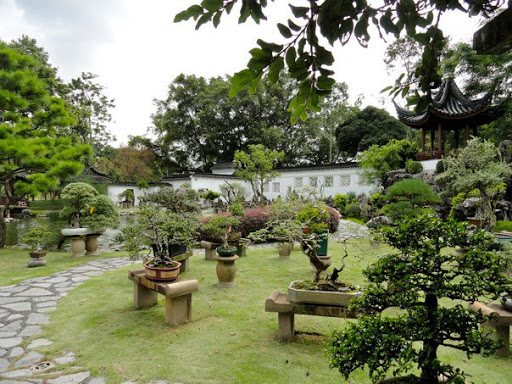 The Chinese Japanese Gardens Singapore2010