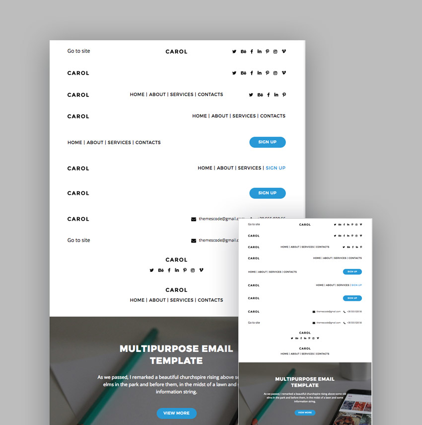 Carol MailChimp template