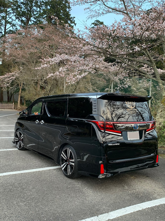 ヴェルファイアの桜と愛車・ドライブ・おまけの猫・コロナウイルスに負けるなに関するカスタム事例の投稿画像4枚目