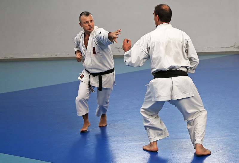 Lezioni di karate di VILLA MARIO