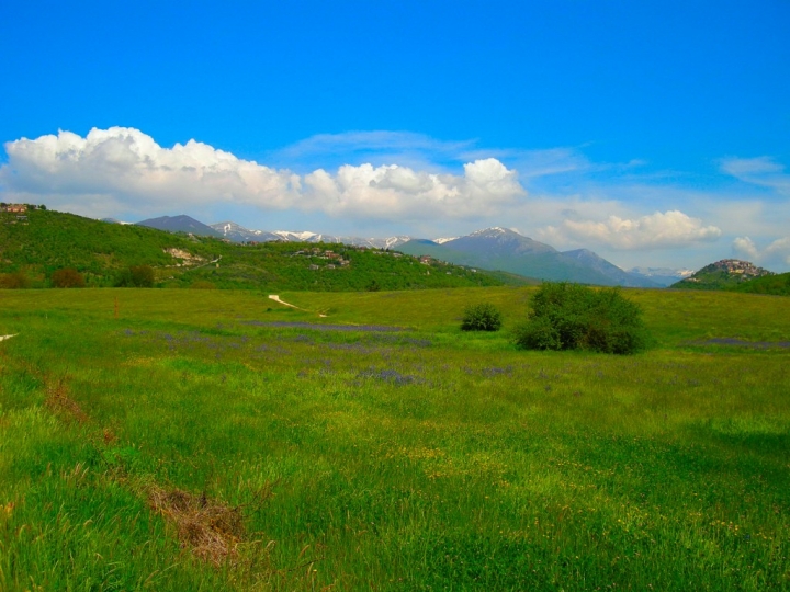 Risveglio Primaverile di mpascasi