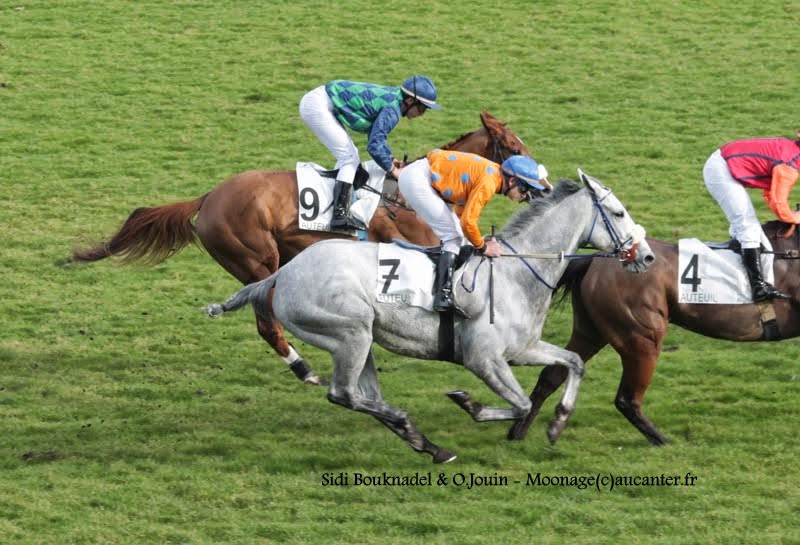 Photos Auteuil 1-03-2015 FzsKRNnieQzrFDCZ295YthnHCGkM-IzT_bkQU1D9d5eg=w800-h545-no