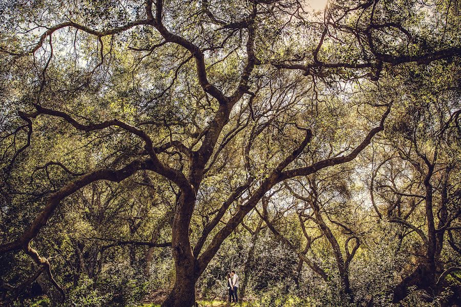 Wedding photographer Oscar Sanchez (oscarfotografia). Photo of 2 March 2016