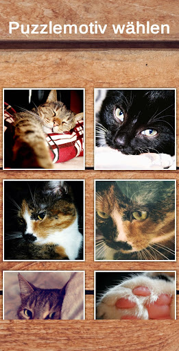 Cat Puzzle - Katze.org - v1.01