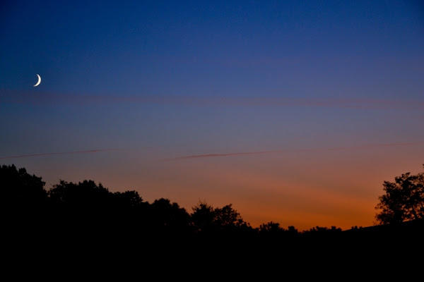 Goodnigth Moon di Marco Siega Vignut