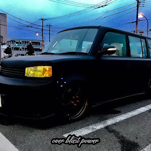bB NCP31