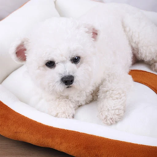 Pet Bed for Dogs Dog Blanket Accessories Houses and Kennels Puppy Bed Cushion Space to Take Care of Pets Pet Supplies