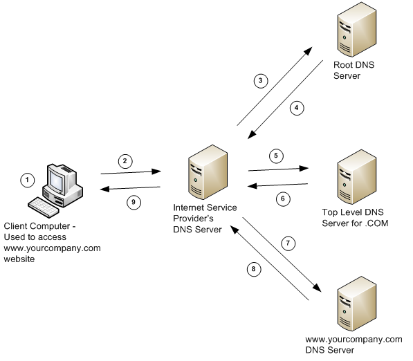 Сайт сети dns. DNS протокол схема. Из чего состоит DNS сервер. Схема работы интернета DNS. Домен ДНС сервер структура.