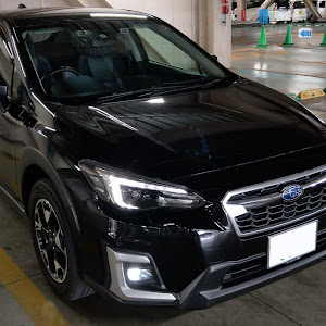XV GT7
