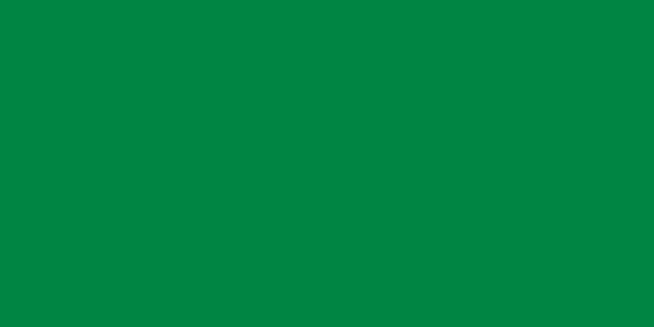 Image result for libya flags