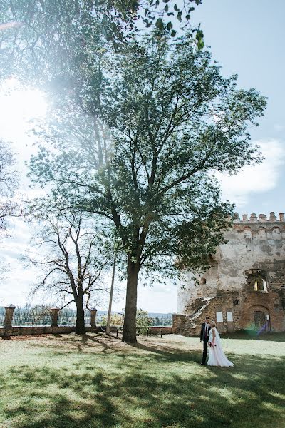 Düğün fotoğrafçısı Natali Perfekto (nataliperfecto). 2 Şubat 2019 fotoları