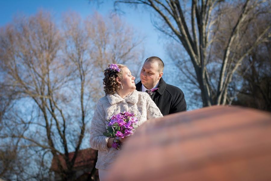 Fotógrafo de casamento Éva Novák-Hajtó (evanovakphoto). Foto de 25 de fevereiro 2019