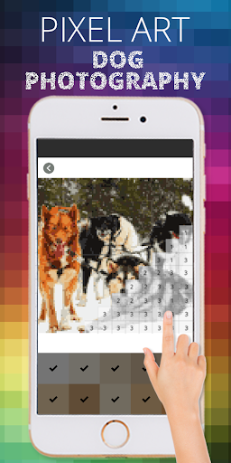 Dog Photography Pixel Coloring By Number