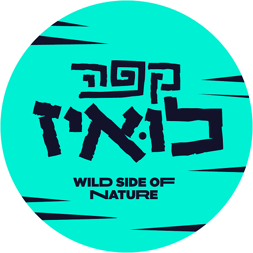 Cafe Louise, קפה לואיז